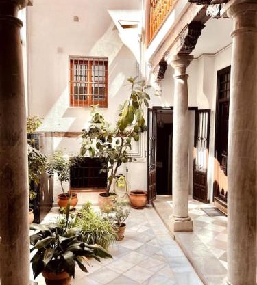 Charming Spacious Albayzin Apartment