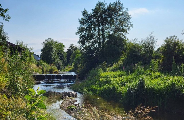 Charming, spacious vacation apartment near the lake