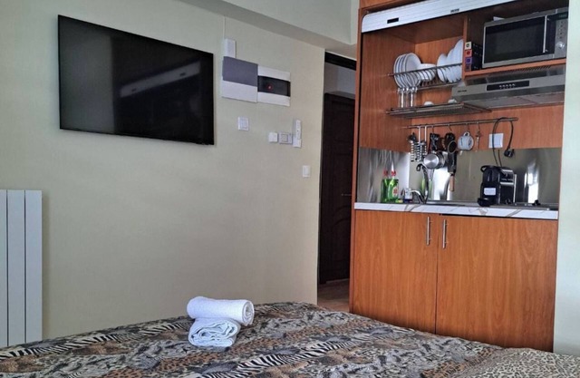 Charming studio on the sea in lovely Paleo Faliro with AC, WiFi