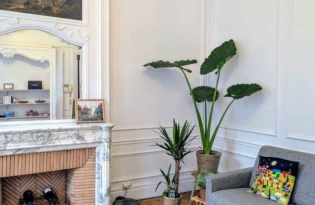 Charming T2 with balcony in Lille-Centre