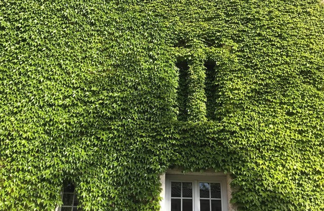 Chateau d Artigues