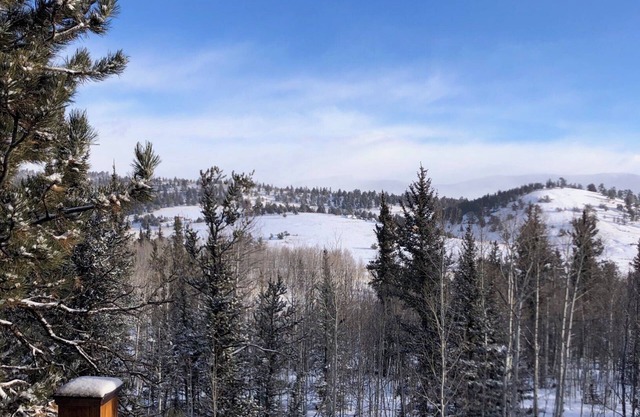 Colorado high country comfy two-story house in COMO with great amenities