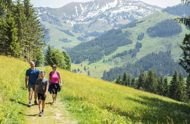 Comfort 4-6-person apartment in the holiday park Landal Resort Maria Alm