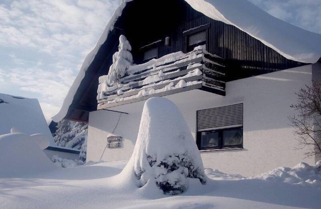Comfortably furnished holiday home (80 m2) in the immediate vicinity of the forest