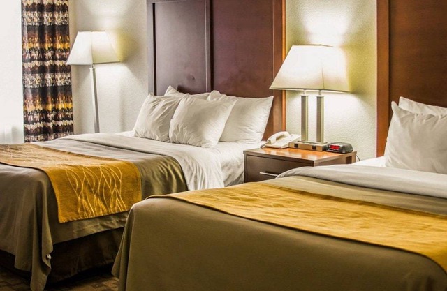 Comfort Inn Birch Run - Frankenmuth