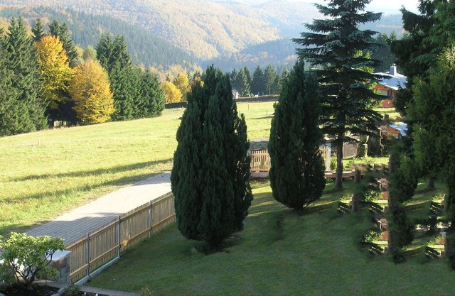 Comfortable Apartment in Frauenwald Thuringia near Forest