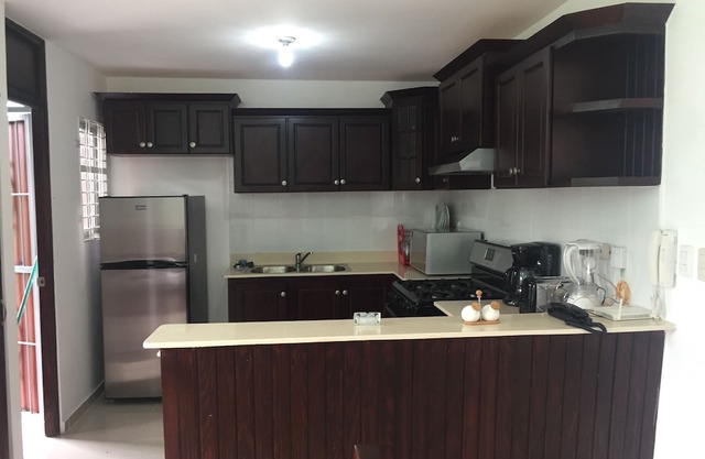 Comfortable apartment in Santiago