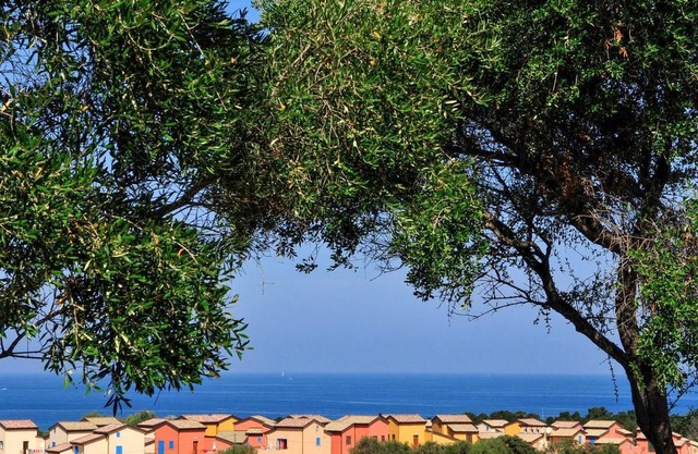 Comfortable duplex - 6 people - air conditioning - swimming pool - near beach Lozari