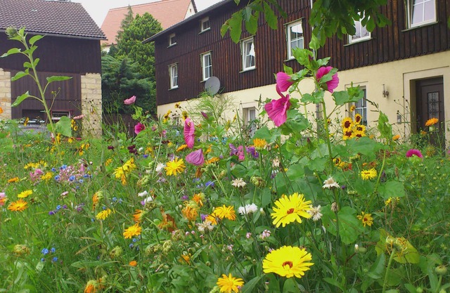 Comfy Apartment in Weißig with Garden