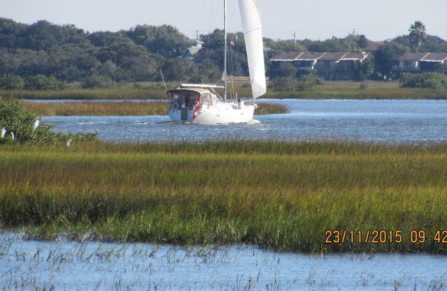 Conquistador Wetlands, Panorama Views, Eagles, Herons, Ibises;.....peaceful