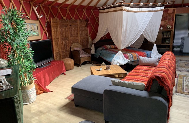 Contemporary high-end yurt