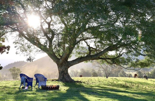 Cookes Road Cottage at Conondale