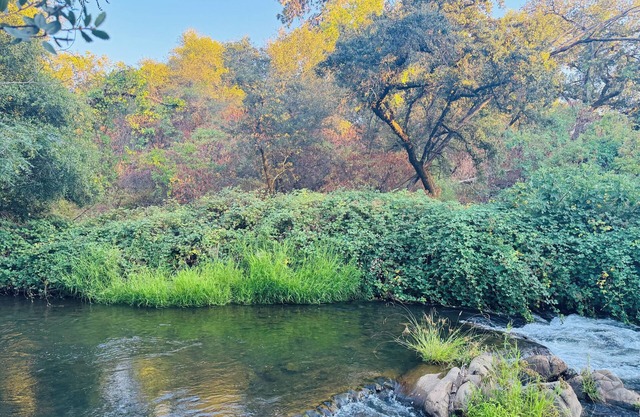 Cool off and Relax at the Little River Hideaway! Reserve your spot now!