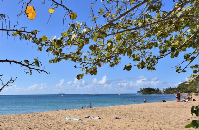 Coqui #3 at Rincon beach, kids and adult pool, beach gate, power and water bup