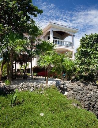 Coral Vista #4