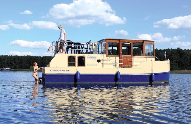 Cormorant Zeuthen 