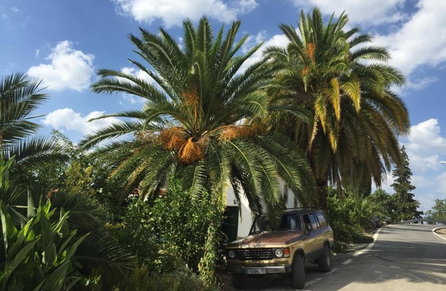 Cortijo La Huerta