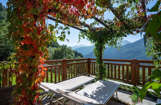 Cosy apartment for 4 guests with WIFI, TV, pets allowed and parking