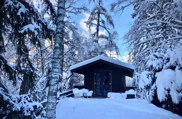 *Cosy Cabin - Mont Blanc View’s/ Woods/ Start of snowshoeing trails!
