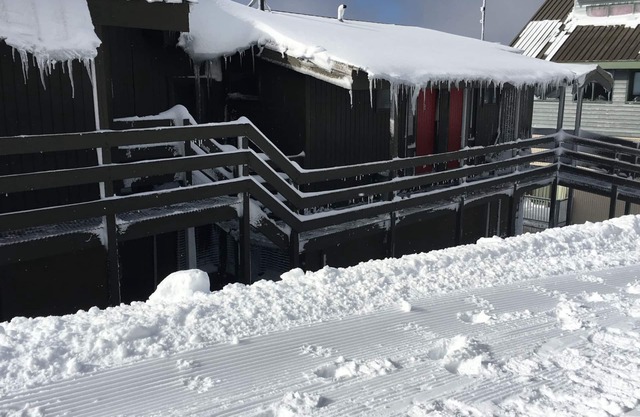 Cosy Mount Hotham Retreat