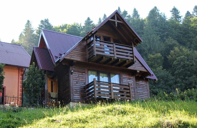 Cottage "Karpatske Shale"