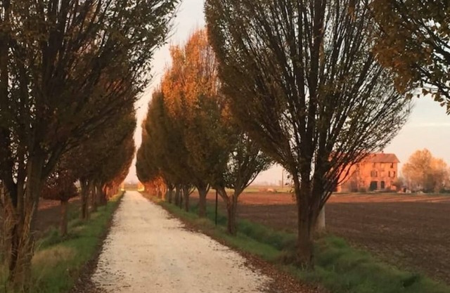 Country house Il Giuggiolo, relaxation in the Motor Valley