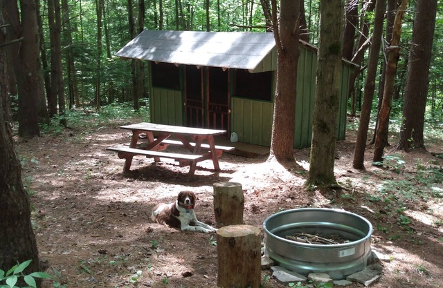 Coyote's Den Rustic Cabin for Adventurous Camper