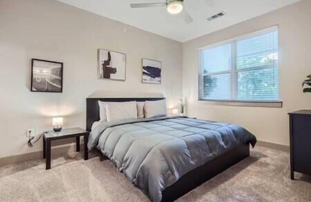Cozy 2-bedroom apartment in lovely Austin