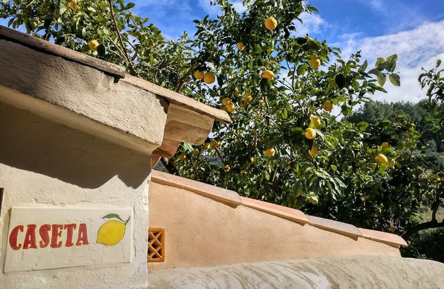 Cozy accommodation with garden in the quiet village of Estellencs