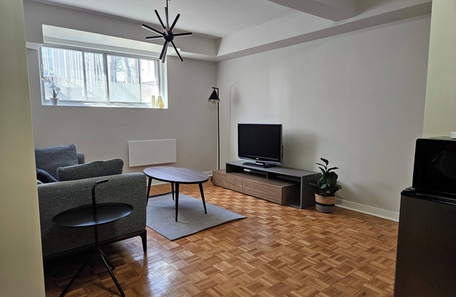 Cozy and Modern Bachelor Apartment