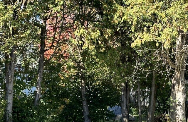 Cozy and Quaint 1-bedroom home close to hospitals in Rhinelander