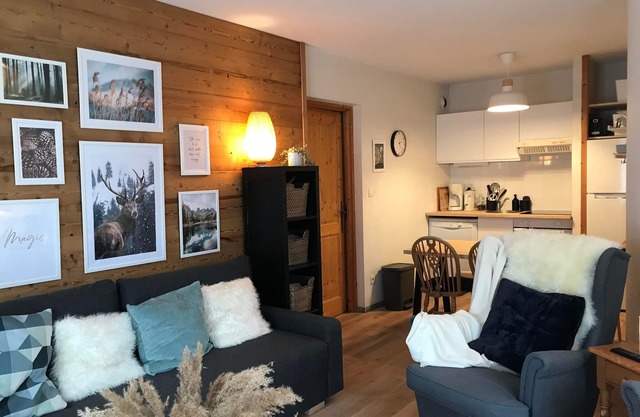 Cozy and spacious apartment 4/6 pers. Skiing, swimming pool & sauna in Samoens