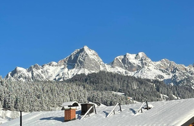 Cozy apartment "Hansl" directly in the ski u. Hiking area, swimming pool + sauna