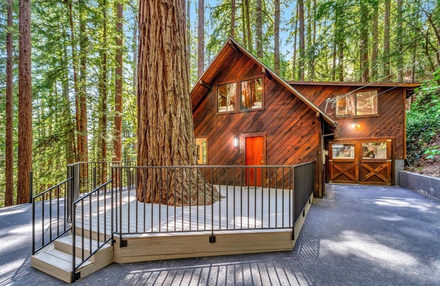 Cozy Cabin Los Gatos CA