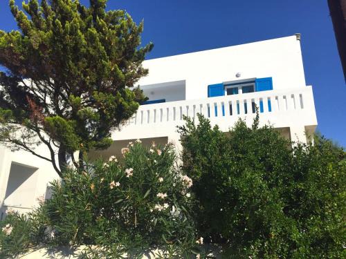 Andros 