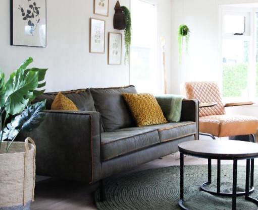 Cozy cottage in the heart of the Veluwe