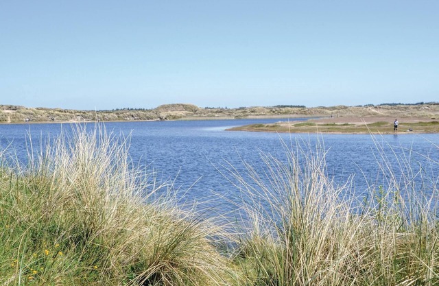 Cozy cottage with thatched roof and situated on an uneven dune plot in Grærup Strand.