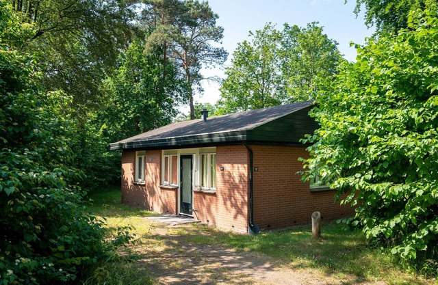 Cozy Forest Retreat Near Putten