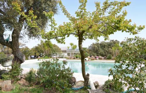 Amazing Sedini Outdoor Swimming 