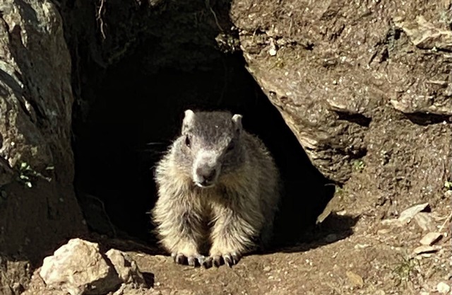 Cozy marmot room with access to a private bathing beach