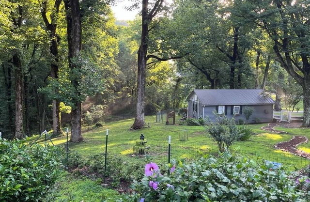 Cozy mountain cabin on 15 acre Animal Sanctuary