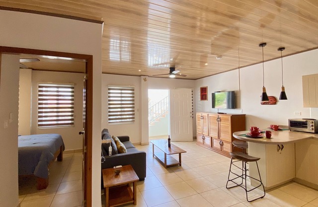 Cozy one-bedroom apartment in Bocas Town