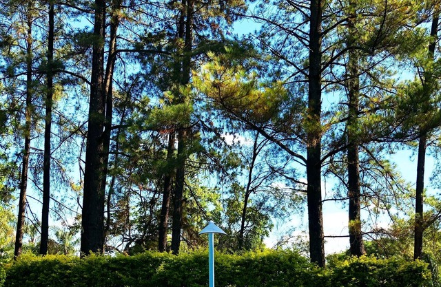 Cozy place in gated community. Less than 10min from the cid. administrative