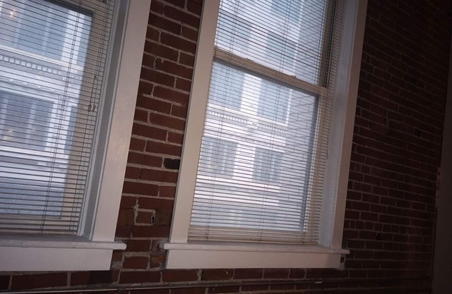 Cozy retreat at Saint Louis Downtown!