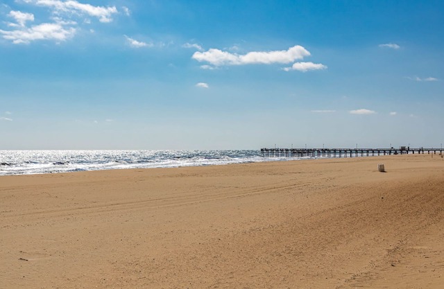 Cozy Retreat! Private Dock! Sandbridge Beach Access! WINTER RENTAL AVAILABLE