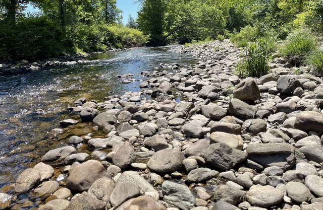 Cozy Tiny Home on Black River - Walk to Town!