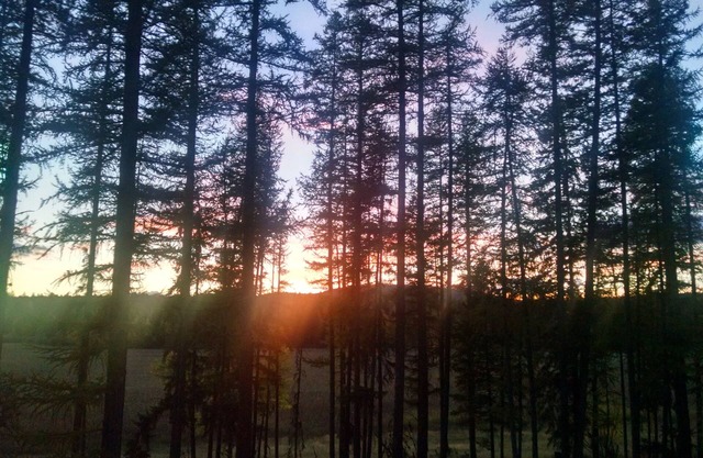 Crane Marsh Getaway, 5 minutes from Downtown Whitefish
