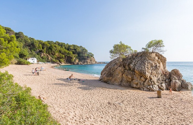 Crisantemo w" in Lloret de Mar