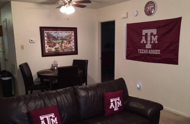 Cute and Roomy Aggieland Apartment!