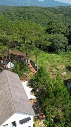 Dốc mộng mơ homestay & villa